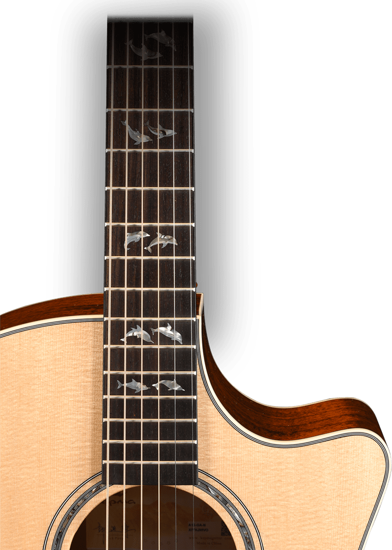 A1S-吉他局部-海豚指板